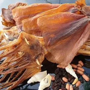 쫄쫄이 오징어 5미 중사이즈