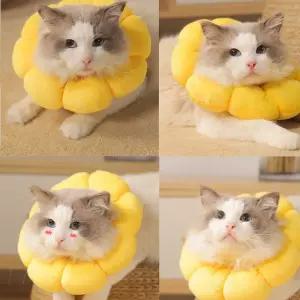 고양이 강아지 반려동물 목쿠션 넥카라 피부보호