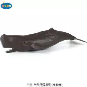 파포 (모형완구) 아기 향유고래 프라모델 창의력 장난갑 수집피규어 수집품 전시 과학
