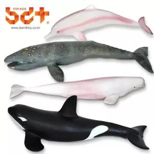 반디 애니멀 소프트 장난감 돌고래 벨루가 동물모형 과학 수집피규어 동물피규어 완구