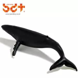 반디 애니멀 소프트 장난감 혹등고래 동물 친구 키덜트 애니멀피규어 동물피규어 과학