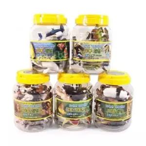 자연은살아있다 중 1P 야생 공룡 곤충 가축 장난감