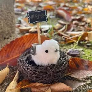 반려 뱁새 오목눈이 미니 인형 키링 [귀여운 친구 생일 선물 머리핀 웃긴 새 애착 백참 재밌는 열쇠 고리]