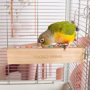 YOOOS 윙 버드 토이 & 버드 퍼치, 버드 나무 블록 씹는 장난감 앵무새 먹이 찾기 및 퍼즐 장난감 앵무새 새장 액세서리 앵무새 앵무새 앵무새 앵무새 앵무새 앵무새 앵무새 앵무새 앵무새 앵무새 앵무새 앵무새 앵무