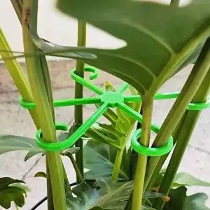 [셀러허브 생활리빙]식물 지지대 세트 알로카시아지지대 꽃지지대