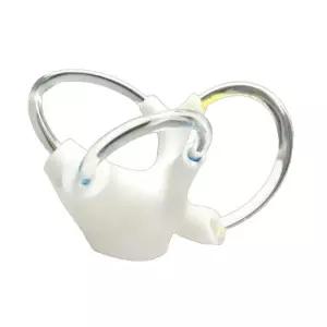 달팽이관 강의 귀 해골 모형 반고리관 기관 교육