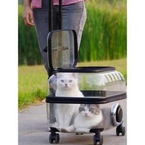 강아지 산책 앞가방 K60 반려견 투명 이동장 켄넬 개 대형