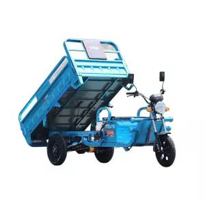 농업용 삼륜 어르신 스쿠터 오토바이 바이크 시골 전기 전동차 전동 3륜