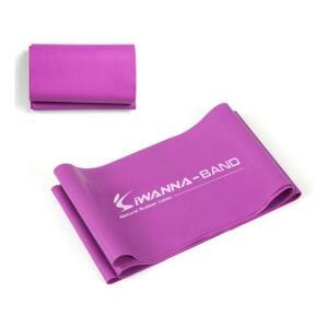 [2개구성] 아이워너 라텍스밴드 퍼플전문가용 운동 피트니스 테스 고무 ARW8D316B