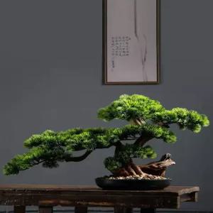 소나무 분재 미니 키우기 소나무분재 반려 화분 인테리어 탁상용