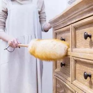 집 안 방 책상 청소 정전기 먼지 떨이 기 제거 털 개