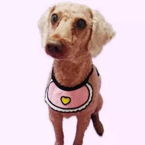 반려동물 턱받침 A 대 애견스카프 고양이스카프 토끼옷