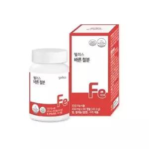 웰러스 철분 740mg x 90정