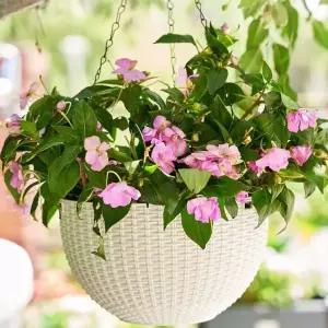 행잉 플랜터 2p 펜던트 화분 걸이식 바구니 식물 홀더 바스켓 WFLIO6U