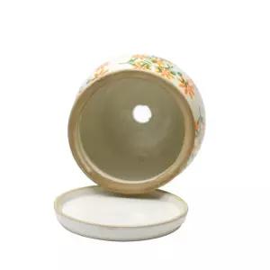 오렌지 야생화 예쁜 단지화분 14x14cm 식물집사 식물