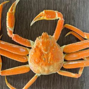 유쎌스토어 러시아 박달대게 6kg 자숙 대게자숙