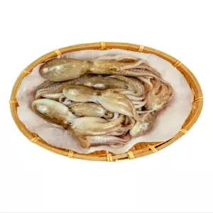 산지출고 서해 활 주꾸미 1키로