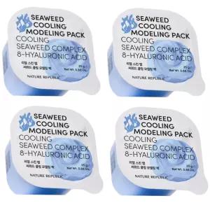 네이처리퍼블릭 모델링팩 석고 리얼스킨랩 씨위드 4개 BNS