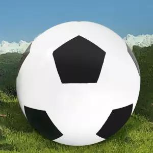 비치 에어볼 체육 대회 수영 수영장 야유회 게임 체육대회