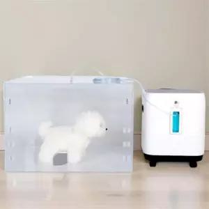 강아지 산소방 애완동물 펫 산소 발생기 호흡기 세트 네블라이저방