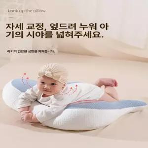데이희 신생아역방쿠 수유쿠션 아기베게