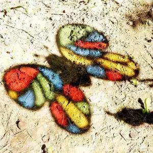 [알티피아]TBZ DIY679 썬캐쳐만들기 곤충날개