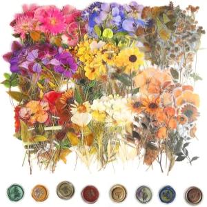 320개의 프레스드 플라워 스티커를 사용한 장식용 꽃 스크랩북 위한 투명 스티커 야생화 식물 저널링 데칼