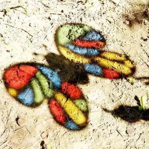 [골드스마일]TBZ DIY679 썬캐쳐만들기 곤충날개