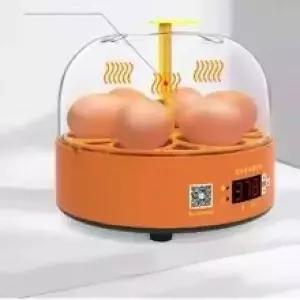 계란 부화기 6구 자동 병아리 부화 전란기