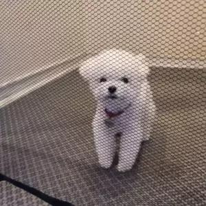 [셀러에이드]울타리 강아지 안전문 펜스 소형