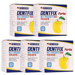덴트픽스 32정 5개 틀이 틀니 세정제 세척제 소독제