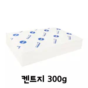 문구story 도화지 켄트지 300g 전지 2절 3절 4절 5절 8절 16절 A3 A4 A5 B4 B5