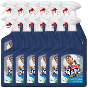 엘지생활건강 홈스타 욕실용 세정제 900ml 12개