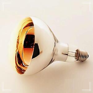 [2개구성] 푸드램프 적외선 IR125 열전구 375W 220V E26 공장등 창고등 간판조명 일광전구 NWEAD8D8