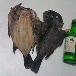 [셀러허브 식품]반건조 통영 우럭 1미 400-500g 특대 자연산 우럭 반 건조 우럭 말린우럭 건우럭 손질우럭