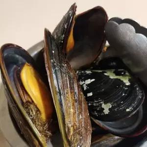 통영 홍합5kg 알이좋은 식당추천 대용량