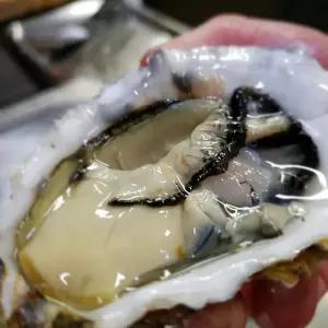 통영 사계절 삼배체굴2kg(7~10미) 특대짜 선택가능 와인안주 