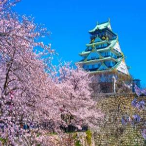 오사카 3일 [베스트셀러] 도톤보리중심&천연온천호텔/연박/다도체험/교토/오하라/고베