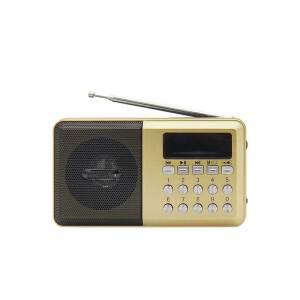 휴대용 소형 효도 라디오 SD카드 노래 MP3 스피커 USB 등산용 AP4976 골드