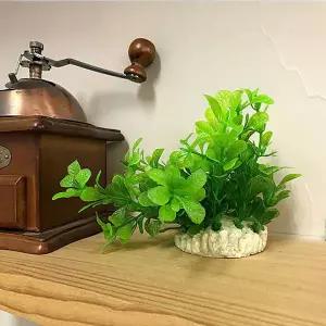 [제이큐]어항 장식 Q시리즈 원형조화 3인치 X ( 3매입 )