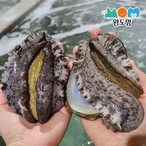 [NS홈쇼핑]완도맘 활전복 특특특대 6-8미 1kg(미당 중량 142~125내외)+세척솔..[31967636]