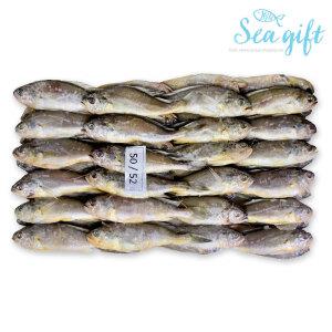 참조기 3.5kg 1박스 (50-52미 내외) 냉동 조기 구이 매운탕 업소용 도매