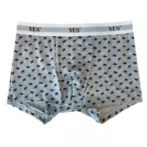 [롯데백화점]예스 리본패턴 면스판 로고 아웃밴드 남성드로즈 YSMDB141