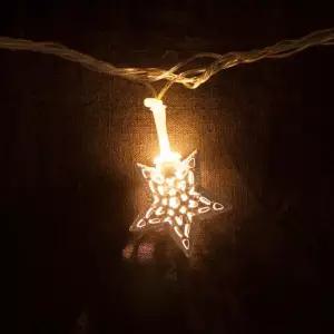 플라워트리 크리스마스 별 전구 장식 겸용LED 30P 철재 화이트