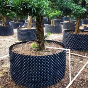 계란판화분 트리웰포트 400X400 10개 대형 화분 블루베리 200 300 500 선택