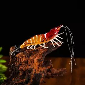 리얼 새우에기 쭈꾸미 갑오징어 채비 닭세우 고추장 수박 래틀 야광 수평에기 쭈갑낚시