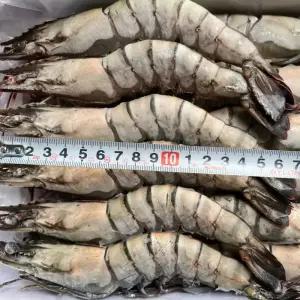 킹 블랙타이거 새우 500g 12미 신선한 급냉 냉동새우