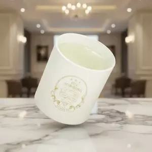 피에브 에어워셔 냄새 제거 고체 탈취제 무향 250g 1개