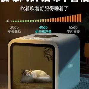 애견 드라이 대형 목욕 오존 드라이룸 고양이