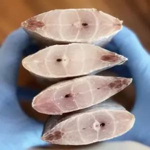 해미가  손질 은빛갈치 1마리  왕갈치(왕특) (4토막,1마리) 총450-600g 1봉